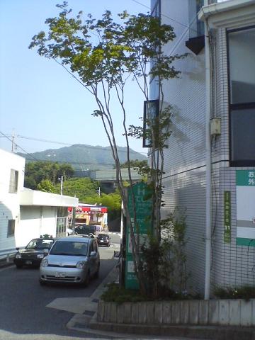 店舗01